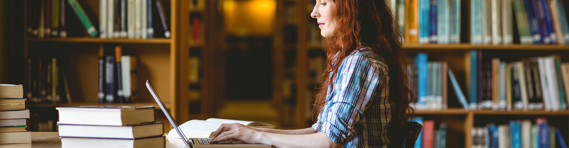 ICoN - Italian Culture on the Net